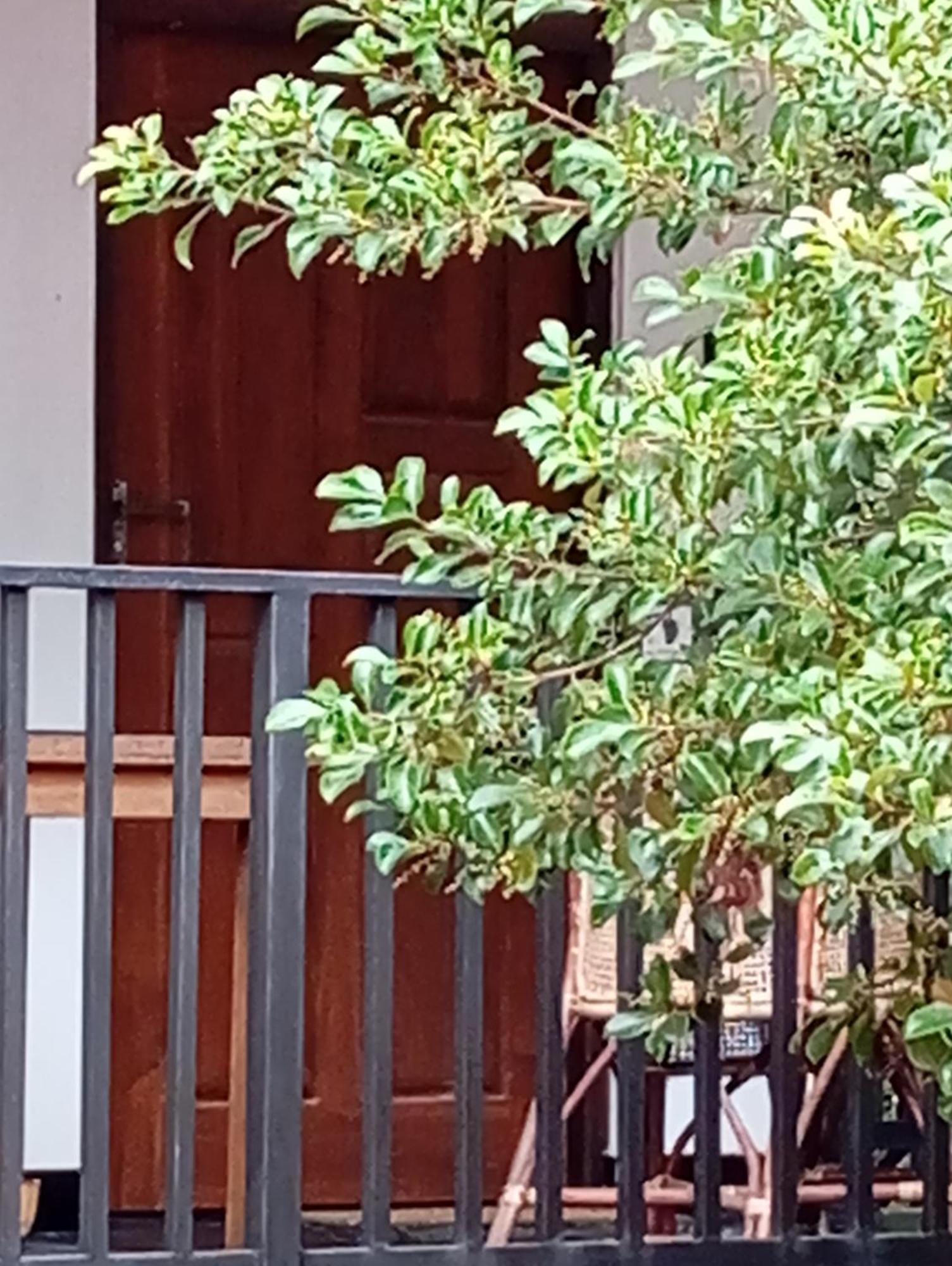 Ceylonima Home Stay Anurâdhapura Chambre photo